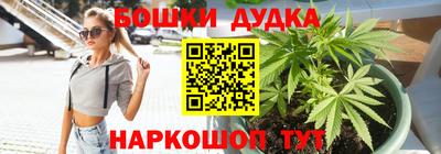 прущие грибы Можайск
