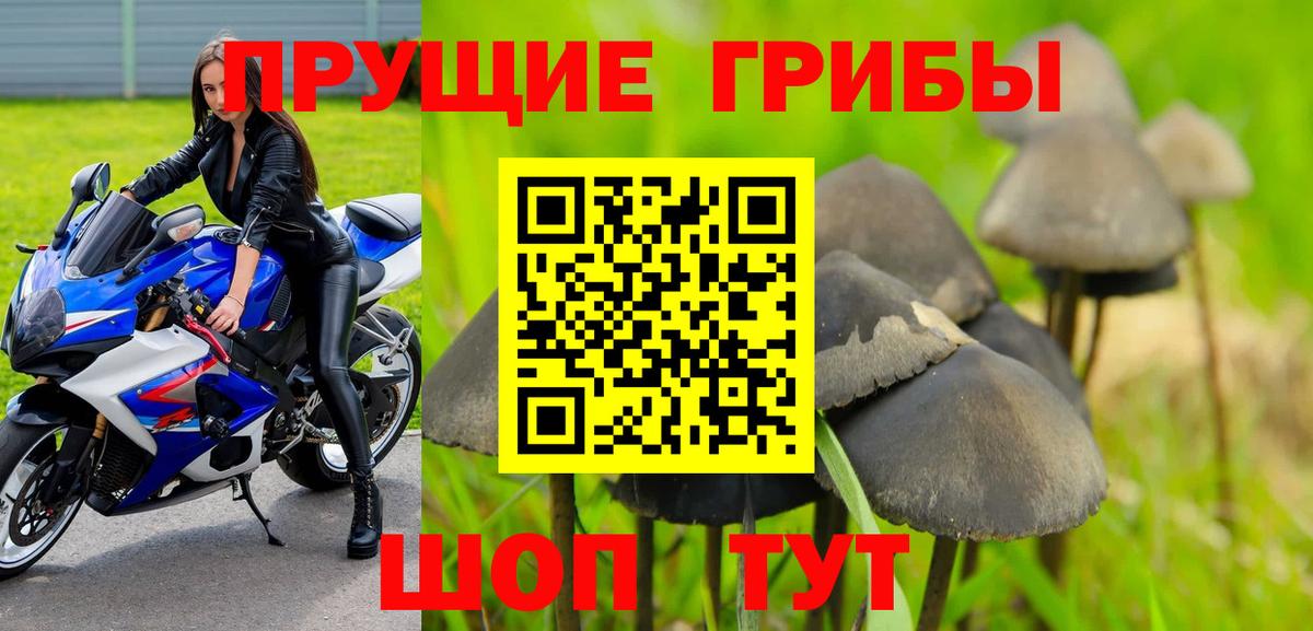 Псилоцибиновые грибы прущие грибы  Псилоцибиновые грибы Magic Shrooms  Чернушка  Вход с VPN 