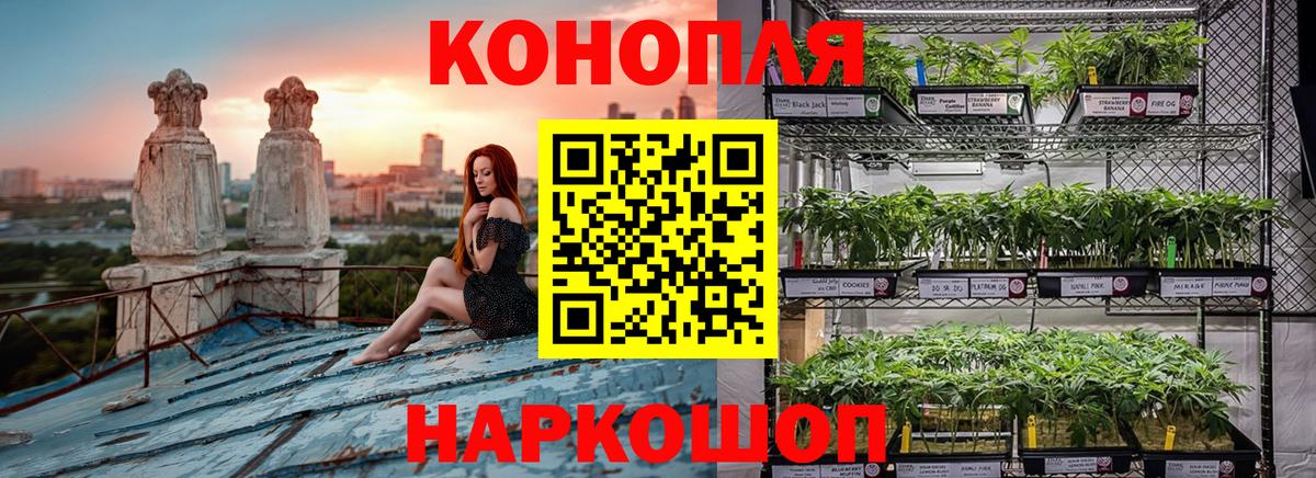 Каннабис White Widow  Конопля марихуана  Бошки Шишки Amnesia  Чернушка  Вход с VPN 